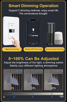 Interrupteur variateur intelligent Milfra, nouveau modèle 2024, affichage numérique, variateur intelligent 3 voies, fonctionne avec Siri, fil neutre requis