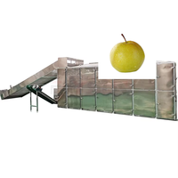 Fabrieksdirecte verkoop peer-meshband droogapparatuur fruitdroogmachine groentedroogmachine