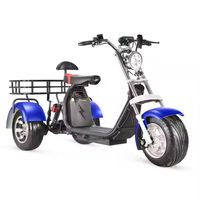 Nuevo Triciclo Eléctrico de 3 Ruedas, Motocicleta Eléctrica, Scooter, Bicicleta City-coco Disponible para la Venta, Triciclo de 2000w, Triciclo de 3000w