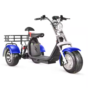 Nouveau tricycle électrique à 3 roues, <span class=keywords><strong>moto</strong></span> scooter électrique, City-coco disponible à la vente, 2000w Trike 3000w Tricycle - Product Image 2