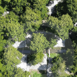 Film de paillage agricole durable pour le contrôle des mauvaises herbes soutenant les pratiques agricoles durables sans produits chimiques - Product Image 1