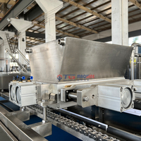 Línea de Producción de Chocolate Totalmente Automática y Personalizable TG Machine