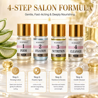 Kit de rehaussement et teinture de cils OEM ODM sous marque privée, teinture pour sourcils à la kératine, waterproof, longue tenue, logo personnalisé, emballage personnalisé