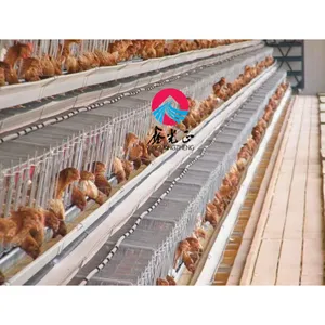 Parrilla de acero moderna para pollos, jaula de animales, almacenamiento de aves de corral al aire libre, galvanización en caliente, fábrica de China