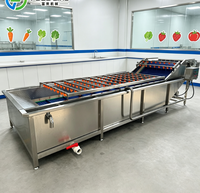 Laveuse à bulles intégrée avec fonction de lavage et de séchage pour tomates et olives