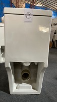 WC monobloc en céramique à chasse directe pour salle de bain, prix abordable