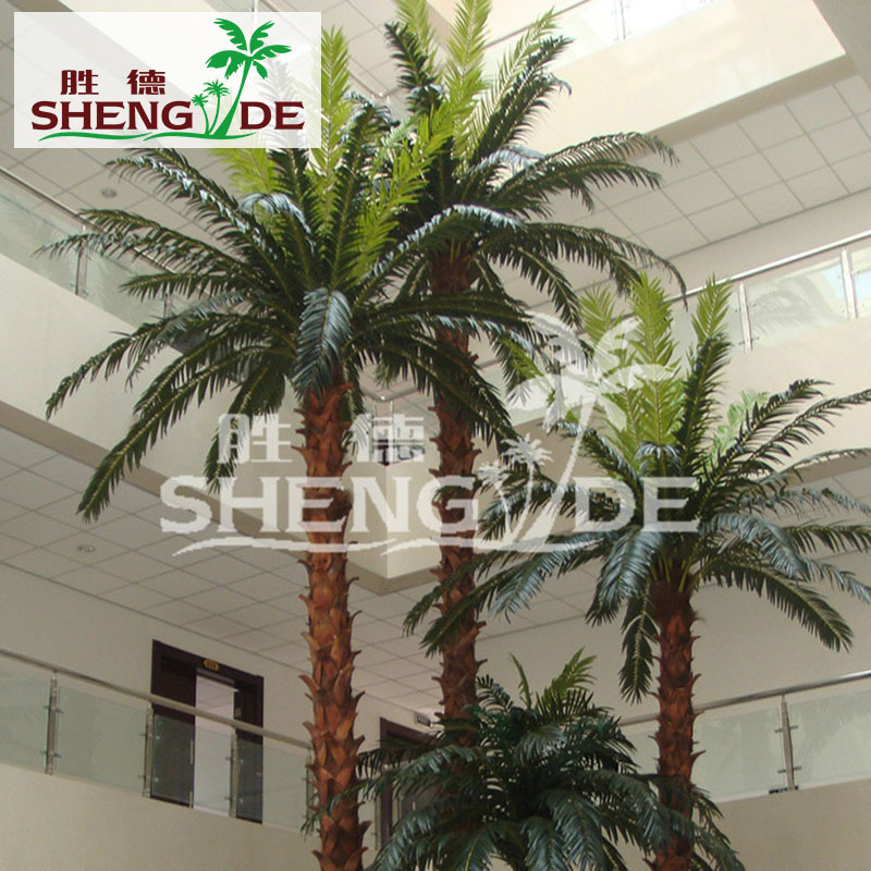 Palmera de goma de interior/m