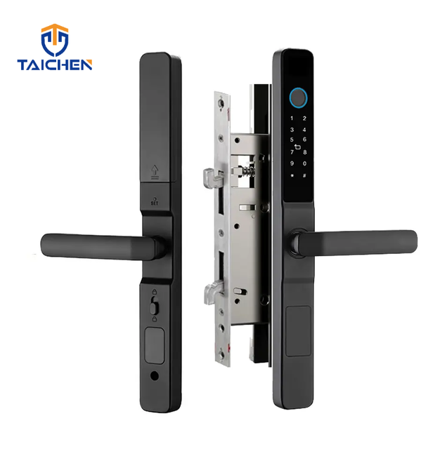 Taichen Euro Cylinder Smart Door Lock Tuya WiFi Biometric Fingerprint Cerradura Inteligente for Aluminum Sliding Wooden Door