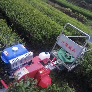 Facile à utiliser Véhicule de transport ferroviaire Véhicule de transport monorail agricole Transport monorail Piste de montagne - Product Image 4