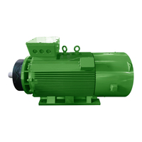 Motor Trifásico de Alta Tensión CA Y2-400-6 315KW 6KV IP55 IC411 990rpm