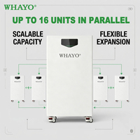 Système de stockage d'énergie domestique Whayo Long Lasting High Performance Bess System 6000 à cycle profond, 16 unités en parallèle, prise en charge de l'application Wifi