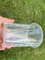 Pots de fleurs en plastique transparent respirant en PP de 5 pouces avec une capacité de 0,5 L pour une utilisation suspendue et au sol