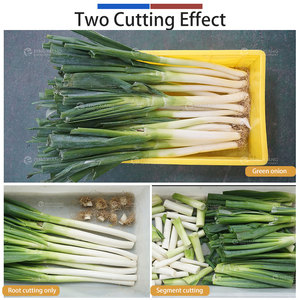 Máquina de lavado, secado por aire y corte de cebollín y cebolla verde; Máquinas de limpieza y corte de cebollín - Product Image 5