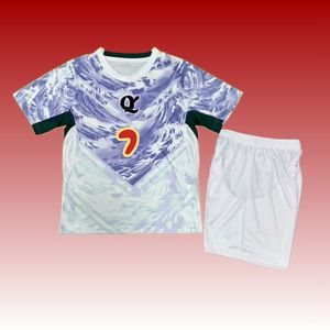 Uniforme de Fútbol 26-27, Equipación de Fútbol de Portugal, Camiseta de Fútbol Mundial 2026, Camiseta de Ronaldo, Camisas de Fútbol - Product Image 4