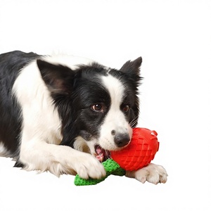 Produits pour animaux de compagnie Jouets pour chiens Jouet à mâcher résistant aux morsures en caoutchouc interactif sonore pour le nettoyage dentaire et la stimulation moléaire - Product Image 2