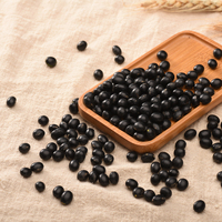 Vente en gros de graines de soja noires non-OGM, haricots noirs à germe jaune pour le tofu et le lait de soja