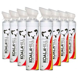 2026 99.6% 3L Pulverizador de Oxígeno para Auto, Barra de Oxígeno para Coche - Product Image 5