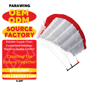 Parawing 4.5M Kitesurf pour eaux océaniques Unisexe Débutant Surf Planche à roulettes Enseignement Windfoil Parapente Planche de surf Downwind - Product Image 3