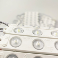 Module d'injection LED AC 110V 220V 9820 3LEDs IP65 étanche pour enseignes publicitaires, boîtes lumineuses et décorations