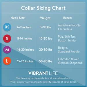 ปลอกคอสุนัขแบบปรับได้ทำจากนีโอพรีนสีสันสดใสขนาดกลาง - Product Image 6