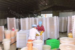 Nguyên liệu truyền thống daijang Miso thành phần đậu nành bột đậu nành daijang 500g cheongjingyuan - Product Image 6