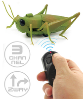 Ququma OC0543903 Télécommande Électrique Pas Chère, Jouet en Plastique en Forme de Locustes, Modèle Réaliste d'Insectes, Simulation de Pulvérisation de Brume Infrarouge pour