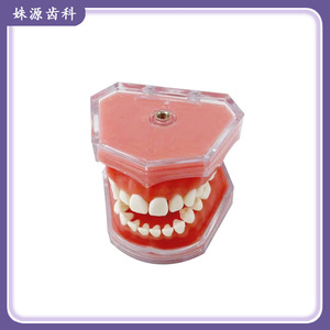 Materiales dentales, modelo de dientes desmontable, encías blandas, totalmente desmontable, para aprender y practicar la extracción de dientes, modelo 1:1. - Product Image 5