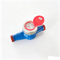 Durable Brass Casing Digital Water Meter with High Accuracy Measurement IP68 Rated DN15 Size OEM Available