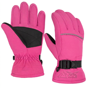 HIKE IMPEX Windproof Waterproof Winter Warm Thermal <b>Touchscreen</b> Snowboarding Snow <b>Gloves</b> with Polyester Material for Men Women - Product Image 1