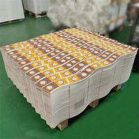 Ventilateurs de tasse de papier feuille matérielle de tasse de papier de 150gsm 170gsm 230gsm pour les tasses de papier jetables biodégradables