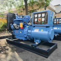 Groupe électrogène diesel 37,5 kVA 30 kW, type ouvert/silencieux pour applications minières et de location