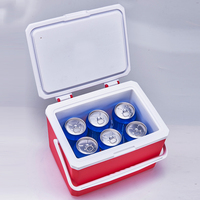 Glacière isotherme personnalisable pour extérieur, camping, pique-nique, 5L, pour canettes, bière, boissons, cadeau, mini glacière rigide en plastique, petite glacière à glace