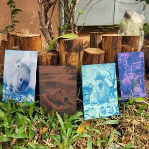 Kit DIY de carte postale cyanotype A6 Capybara - Forme rectangulaire, motifs multiples, couleur bleue - Product Image 4