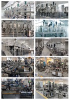 Solution clé en main 1000LPH CE, cuve de mélange homogénéisatrice personnalisée, ligne de production de liquide de lavage, équipement de fabrication de détergent et de savon