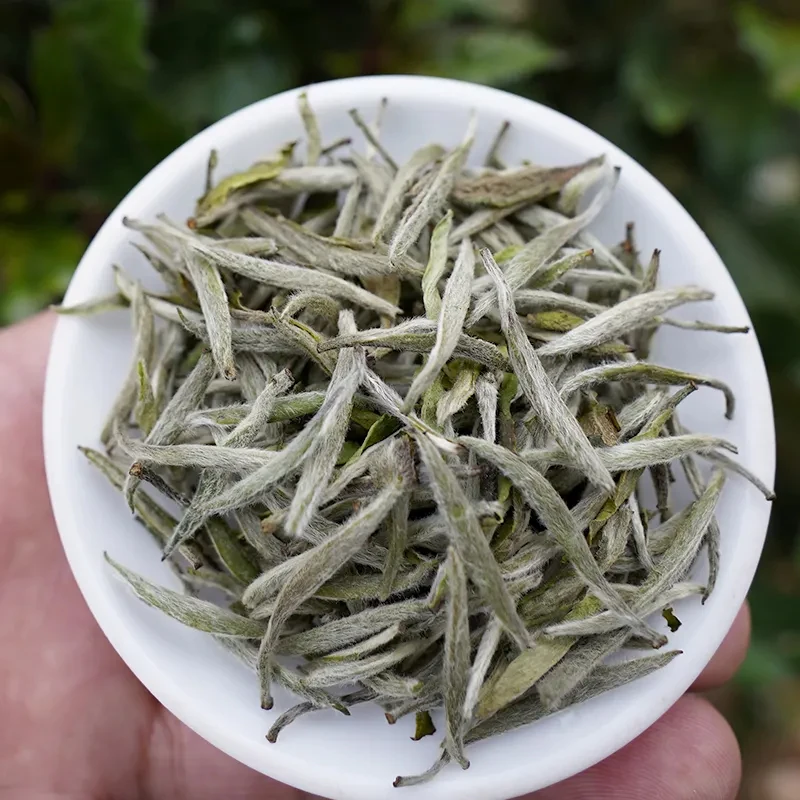 EU Natural Alta qualidade montanha Silver Needle White Tea Chá branco alpino chinês