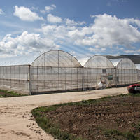 Serre Agricole 24x40m Grande Serre Agricole Multi-chapelles pour Légumes