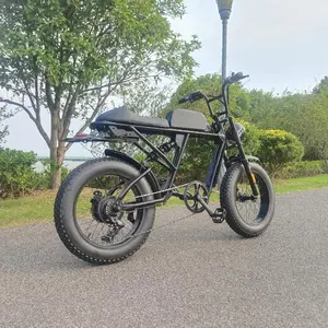 QUEENE/サンロンバイクレディビーチクルーザー電動自転車/電動ファットバイク/スノーエバイク2018