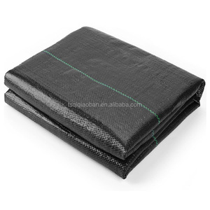 Woven PE Geotextile <strong>Grass</strong> <strong>Seed</strong> <strong>Mats</strong> Rotational Molding Durable Weeding <strong>Mat</strong> <strong>for</strong> Fabric Resistant Overgrown <strong>Grass</strong> - Product Image 5