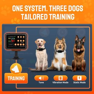 Sistema de Valla Inalámbrica para Perros Pethey 3 en 1, 2 Collares de Entrenamiento con Modos de Valla y Zona Prohibida para Perros - Product Image 6