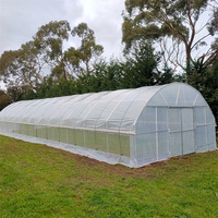 Serre agricole à bas prix Maison en plastique Polytunnel Pe séchoir solaire à travée unique à vendre