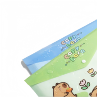 Pochette à documents A4 personnalisée en PVC transparent avec bouton-pression, surface brillante/mate/givrée, pour l'école et le bureau, porte-documents en PP