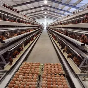 Offre spéciale automatique un type cage de ponte prix poules reproductrices couche de batterie cage de poulet pour utilisation dans les équipements d'élevage de volaille