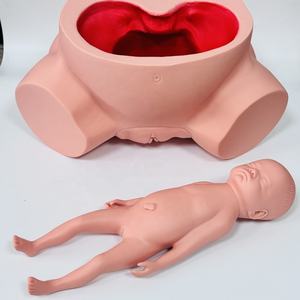 แบบจำลองการฝึกอบรมการดูแลสตรีตั้งครรภ์ขั้นสูง, แบบจำลองการสอนทางการแพทย์ - Product Image 5