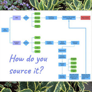 Ungüento para el Picor de la Piel, Productos para el Cuidado Antifúngico, Pomada Eficaz para el Alivio del Picor, Dermatosis, Crema Herbal China Antipicazón - Product Image 5
