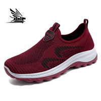Chaussures de sport décontractées confortables de style nouveau pour femmes, chaussures de marche respirantes à la mode, légères et respirantes pour l'automne et le printemps