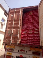 Pâtes sèches spaghetti macaroni 5kg blé dur marque Bella certifiées Halal ISO 9001 2015 Meilleur prix Haute qualité Égypte Boîte/Sac