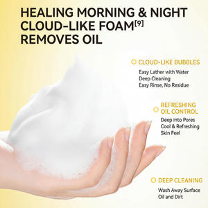 <span class=keywords><strong>Limpiador</strong></span> <span class=keywords><strong>Facial</strong></span> Espumoso de Marca Blanca <span class=keywords><strong>con</strong></span> Aminoácidos para el Cuidado de la <span class=keywords><strong>Piel</strong></span>, Hidratante Diario, Blanqueador, Limpieza Profunda y Control del Acné - Product Image 5