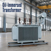 Transformateur de distribution triphasé immergé dans l'huile S11 30kVA 63kVA 80kVA 125kVA 6kV 10kV