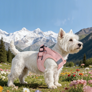 Chaleco Reflectante Ajustable Antitirones con <span class=keywords><strong>Correa</strong></span> de Hombro de Nailon Duradero y Moderno <span class=keywords><strong>para</strong></span> Mascotas, Talla Pequeña - Product Image 6