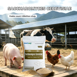 Mangeoire pour animaux de compagnie, vente en gros, qualité d'alimentation pour nouveauté - Product Image 6